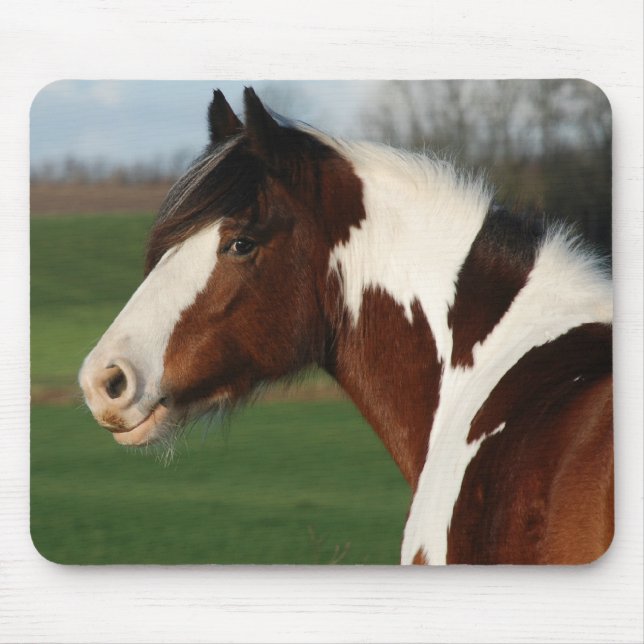 Tapis De Souris Commandant d'Egehojs (Devant)