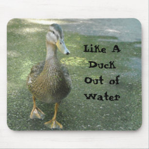 Tapis De Souris Comme un canard hors de l'eau