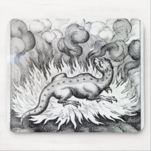 Tapis De Souris Comme vies de salamandre en feu