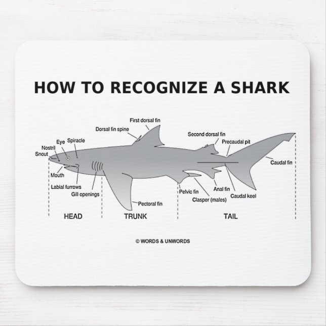 Tapis De Souris Comment Reconnaître Un Requin (Humour Biologique) (Devant)