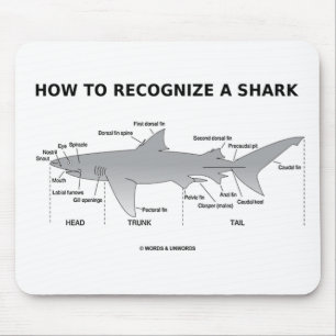 Tapis De Souris Comment Reconnaître Un Requin (Humour De Biologie