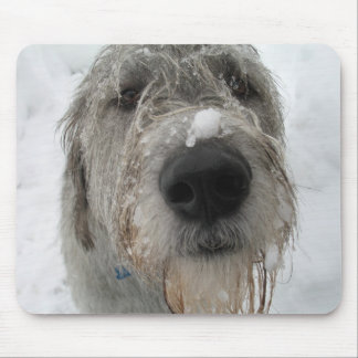 Tapis De Souris Comment VOUS Doin ?