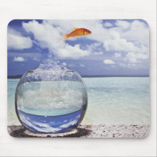Tapis De Souris Composition en Digitals