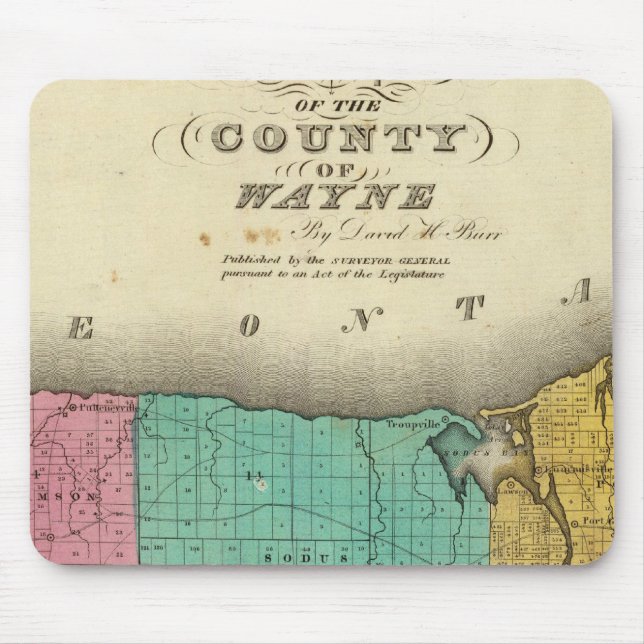 Tapis De Souris Comté de Wayne (Devant)