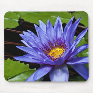 Tapis De Souris Conception botanique florale de nénuphar tropical