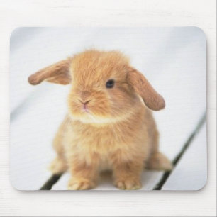 Tapis De Souris Conception heureuse de Pâques de lapin mignon de