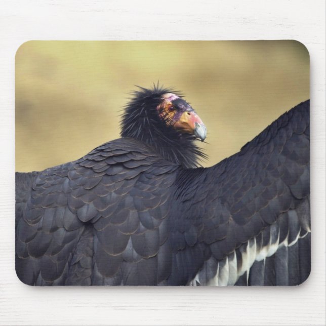 Tapis De Souris Condor de Californie (Devant)