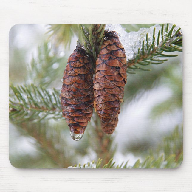 Tapis De Souris Cônes vitrés (Devant)