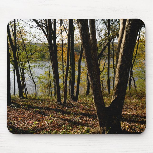 Tapis De Souris Connecticut (Devant)