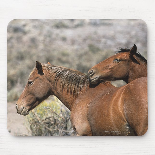 Tapis De Souris Contact sauvage de chevaux de mustang (Devant)