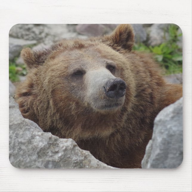 Tapis De Souris Cook bear (Devant)