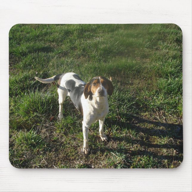 Tapis De Souris Coonhound Mousepad de marcheur de Treeing (Devant)