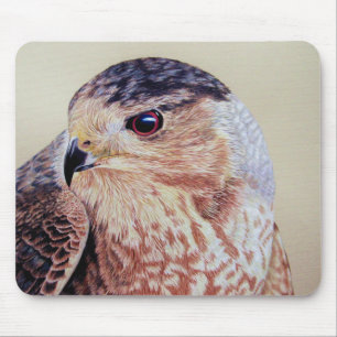 Tapis De Souris Coopers Hawk