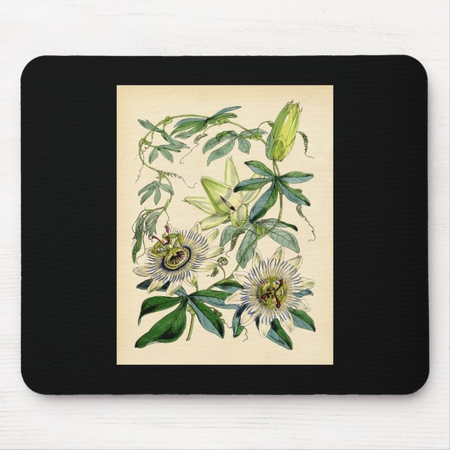 Tapis De Souris Copie botanique - fleur de passion (passiflore) (Devant)