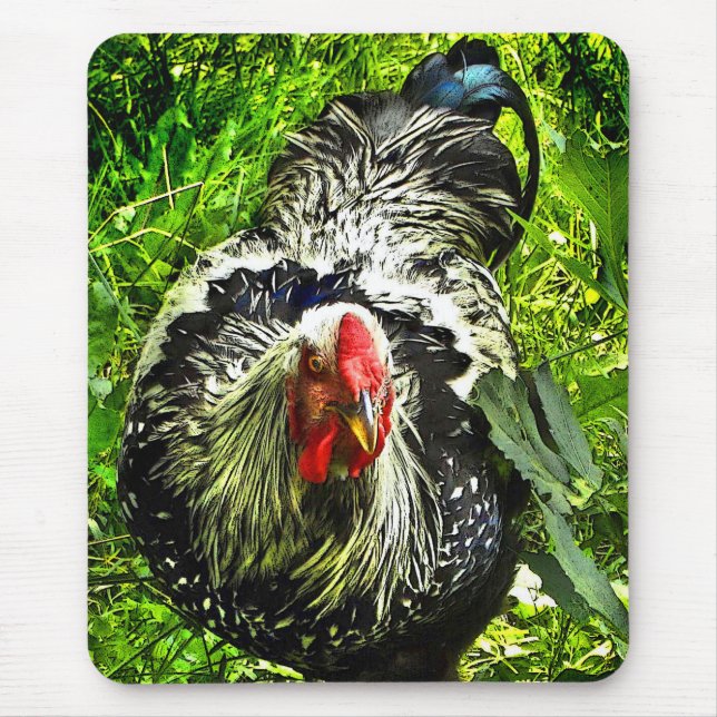 Tapis De Souris Coq de Wyandotte lacé par argent dans Mousepad (Devant)