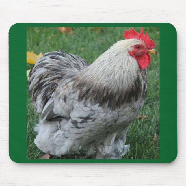Tapis De Souris Coq Mousepad (Devant)