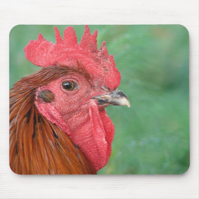 Tapis De Souris Coq noir de maran en cuivre (Devant)
