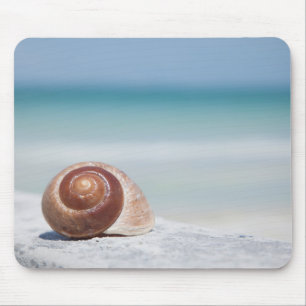 Tapis De Souris Coquillage   St Petersburg, la Floride