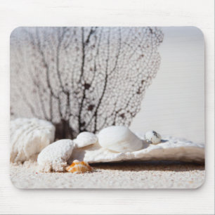 Tapis De Souris Coquillages