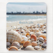 Coquillages marins sur la plage