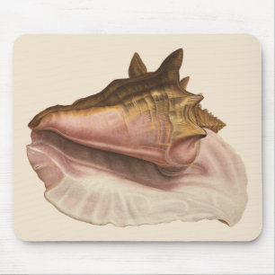 Tapis De Souris Coquille de l'escargot de mer reine, coquillage, f
