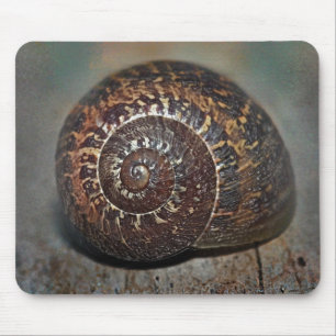 Tapis De Souris Coquille d'escargot