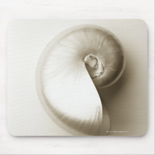 Tapis De Souris Coquille Pearlised 2 de mer de nautilus