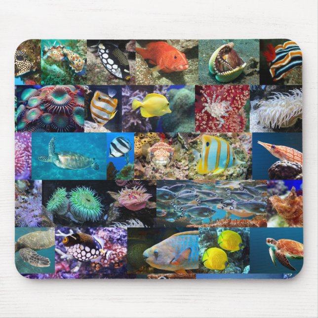 Tapis De Souris Coral Reef Marine Vie Poissons Animaux Nature Amat (Devant)