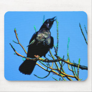 Tapis De Souris Corbeau sauvage et Branches Cadeau photo nature