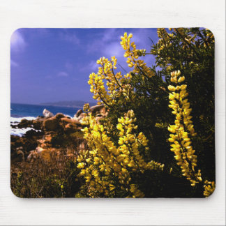 Tapis De Souris Côte florale Mousepad de la Californie
