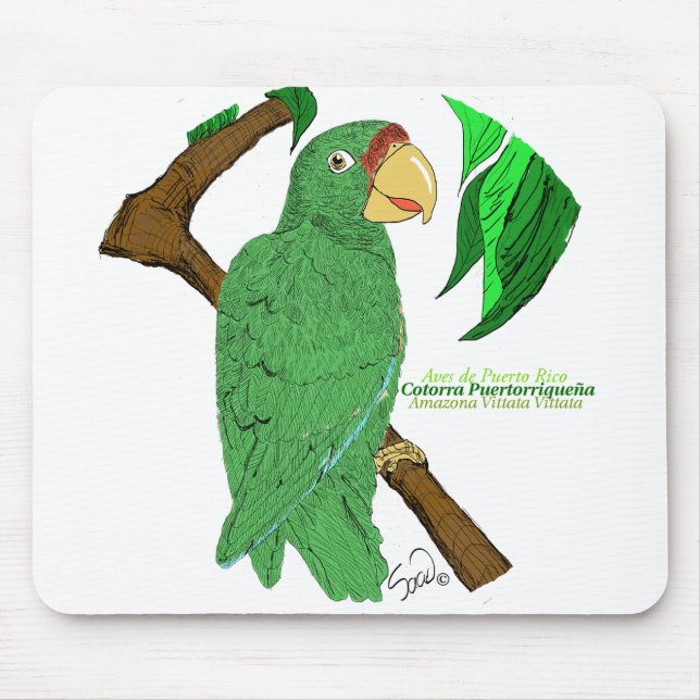 Tapis De Souris Cotorra Puertorriqueña/Porto Rico Parrot (Devant)
