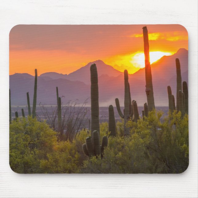 Tapis De Souris Coucher de soleil de cactus du désert, Arizona (Devant)