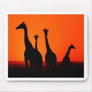 Tapis De Souris Coucher du soleil en Afrique