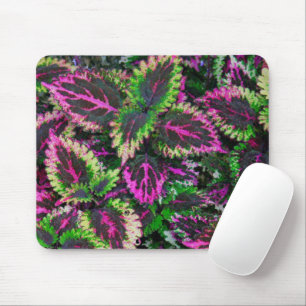 TAPIS DE SOURIS COUCHES DE VERT & MAGENTA COLEUS FEUILLES