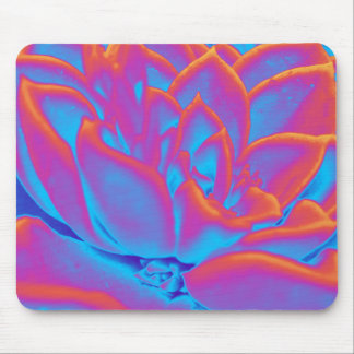 Tapis De Souris Couleur arc-en-ciel plante Succulent