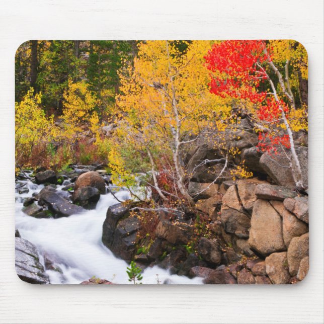 Tapis De Souris Couleurs d'automne le long de Bishop Creek, CA (Devant)
