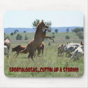 TAPIS DE SOURIS COUPE DE SPORTALOOSA