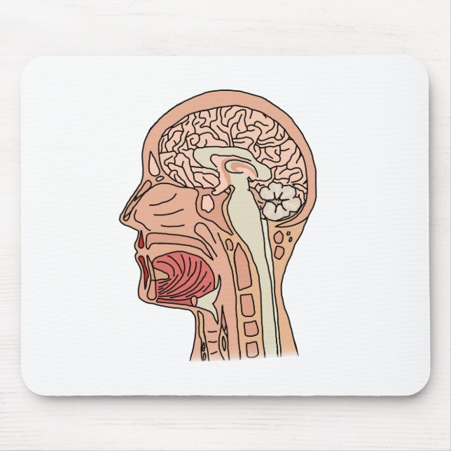 Tapis De Souris Coupe sagittale médiane du cerveau (Devant)