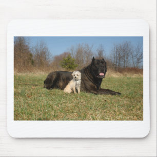 Tapis De Souris Couple de chien mignon