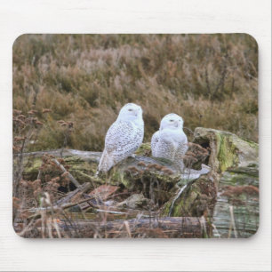 Tapis De Souris Couples de hibou de Milou