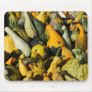 Tapis De Souris Courges