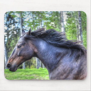 Tapis De Souris Courir Black Thoroughbred Percheron Horse Photo