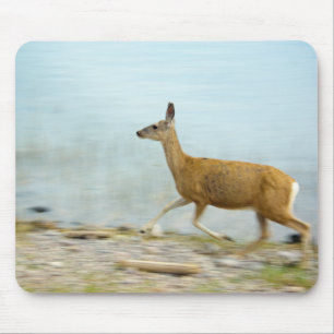 Tapis De Souris Courir Doe Mousepad