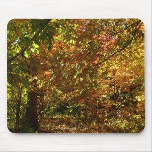 Tapis De Souris Couvert de feuilles d'automne II Photographie d'au