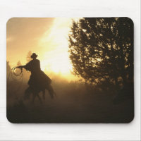 Cowboy avec Lasso au coucher du soleil