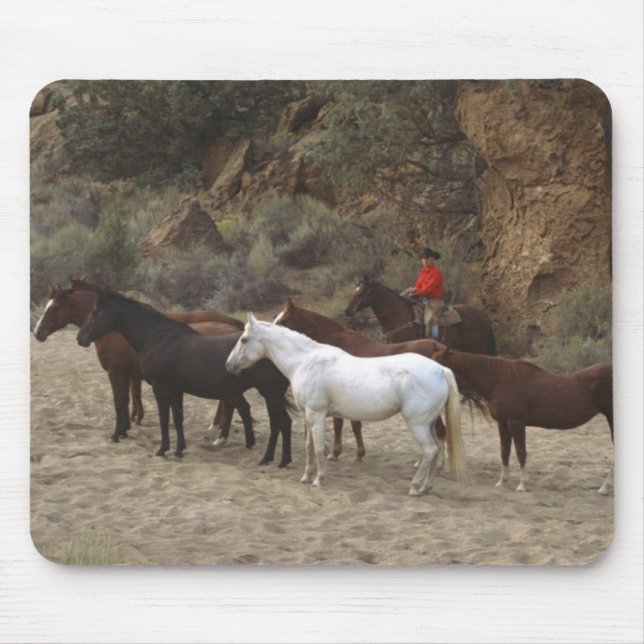 Tapis De Souris Cowboy avec troupeau (Devant)