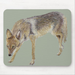 Tapis De Souris Coyote