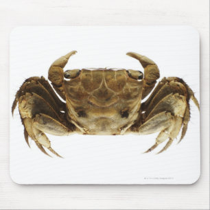 Tapis De Souris Crabe sur l'arrière - plan blanc