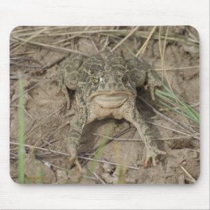 Tapis De Souris Crapaud des prairies R10