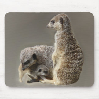Tapis De Souris Cravates de famille